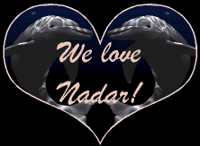 We love NADAR!